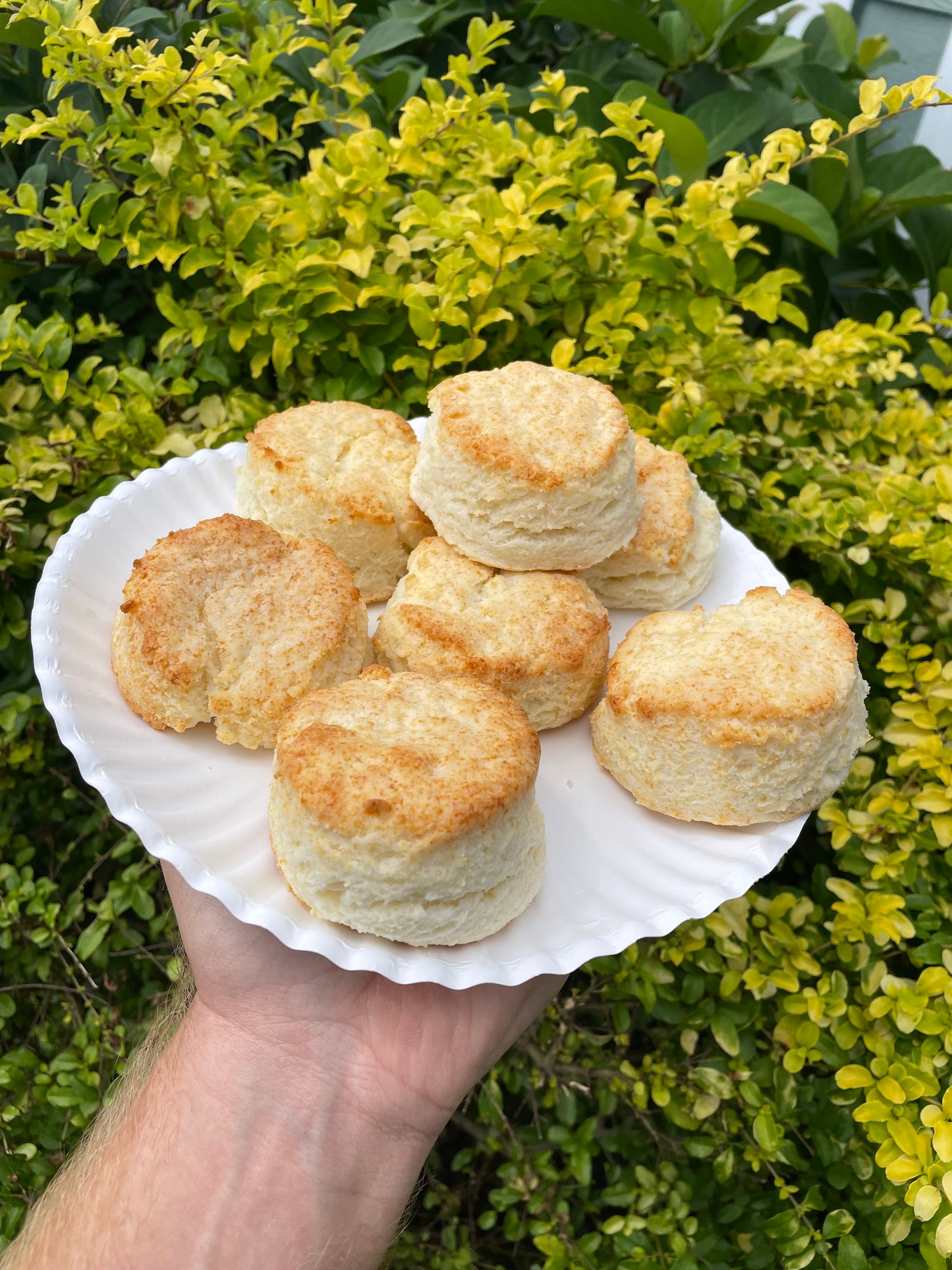 Gluten Free Biscuit Mix 4 Pack Box