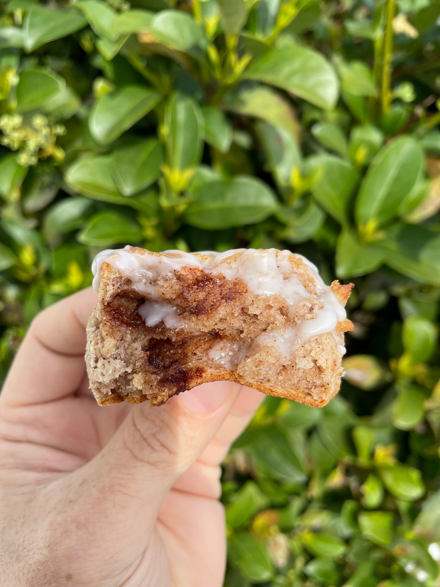 Gluten Free Sweet Cinnamon Biscuit Mix